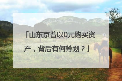 山东京普以0元购买资产，背后有何筹划？