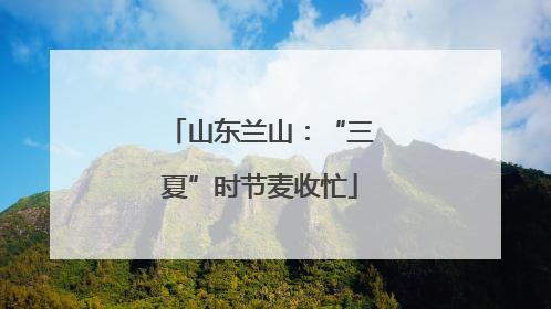 山东兰山：“三夏”时节麦收忙