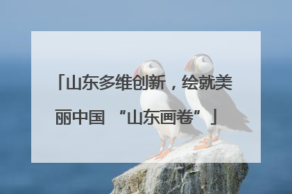 山东多维创新，绘就美丽中国 “山东画卷”