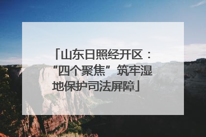 山东日照经开区：“四个聚焦”筑牢湿地保护司法屏障