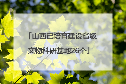 山西已培育建设省级文物科研基地26个
