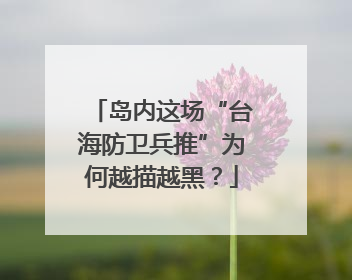 岛内这场“台海防卫兵推”为何越描越黑？