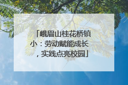 峨眉山桂花桥镇小：劳动赋能成长，实践点亮校园