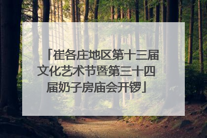 崔各庄地区第十三届文化艺术节暨第三十四届奶子房庙会开锣