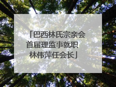 巴西林氏宗亲会首届理监事就职 林伟萍任会长