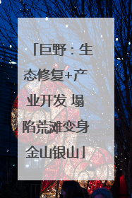 巨野：生态修复+产业开发 塌陷荒滩变身金山银山