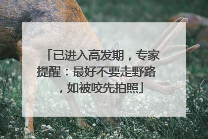 已进入高发期，专家提醒：最好不要走野路，如被咬先拍照
