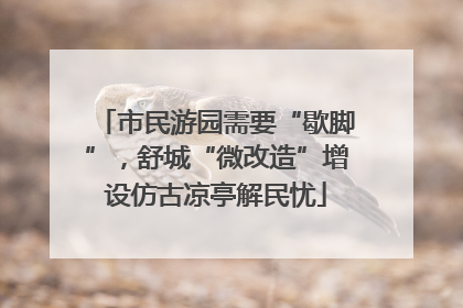 市民游园需要“歇脚”，舒城“微改造”增设仿古凉亭解民忧