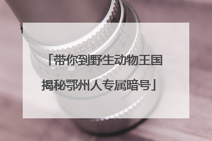 带你到野生动物王国揭秘鄂州人专属暗号