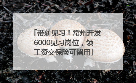 带薪见习！常州开发6000见习岗位，领工资交保险可留用
