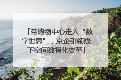 带购物中心走入“数字世界”，京企引领线下空间数智化变革