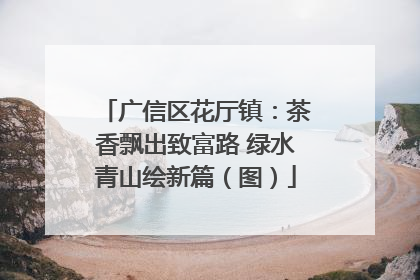 广信区花厅镇：茶香飘出致富路 绿水青山绘新篇（图）