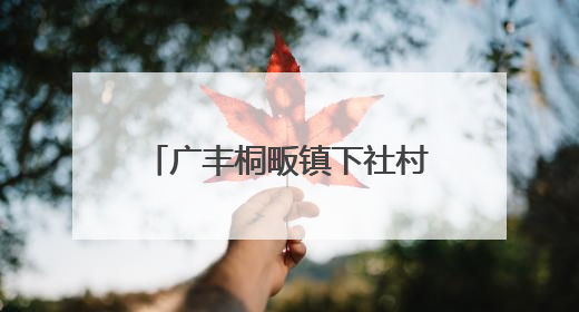 广丰桐畈镇下社村果丰苑家庭农场的百亩桃林迎来丰收季