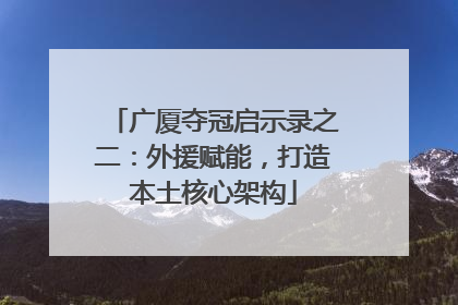 广厦夺冠启示录之二：外援赋能，打造本土核心架构