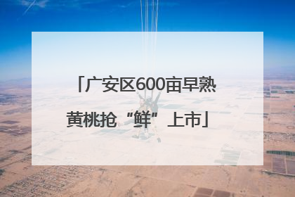 广安区600亩早熟黄桃抢“鲜”上市