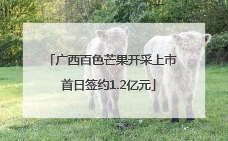 广西百色芒果开采上市 首日签约1.2亿元
