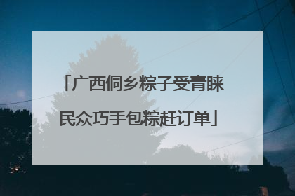 广西侗乡粽子受青睐 民众巧手包粽赶订单
