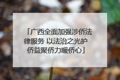 广西全面加强涉侨法律服务 以法治之光护侨益聚侨力暖侨心