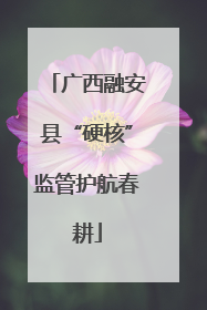 广西融安县“硬核”监管护航春耕