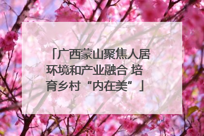 广西蒙山聚焦人居环境和产业融合 培育乡村“内在美”