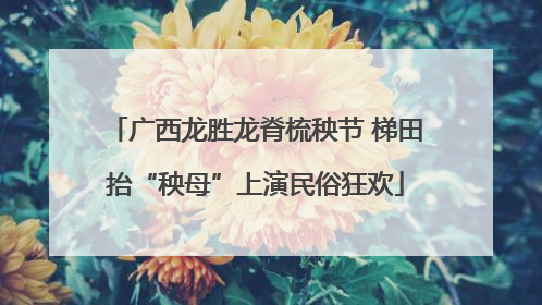 广西龙胜龙脊梳秧节 梯田抬“秧母”上演民俗狂欢