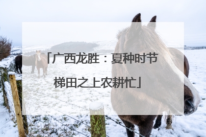 广西龙胜：夏种时节 梯田之上农耕忙