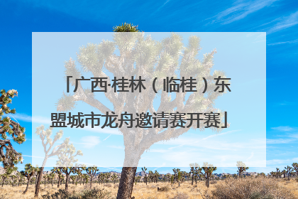 广西·桂林（临桂）东盟城市龙舟邀请赛开赛