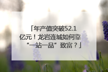 年产值突破52.1亿元！龙岩连城如何靠“一站一品”致富？