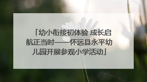 幼小衔接初体验 成长启航正当时——怀远县永平幼儿园开展参观小学活动