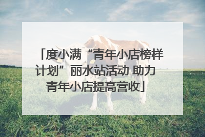 度小满“青年小店榜样计划”丽水站活动 助力青年小店提高营收