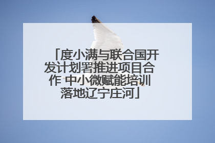 度小满与联合国开发计划署推进项目合作 中小微赋能培训落地辽宁庄河