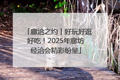 廊洽之约丨好玩好逛好吃！2025年廊坊经洽会精彩纷呈