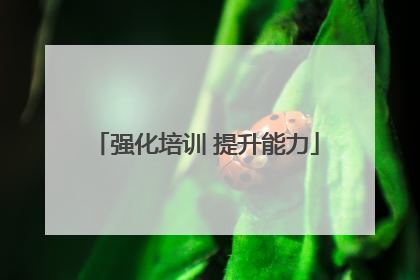 强化培训 提升能力