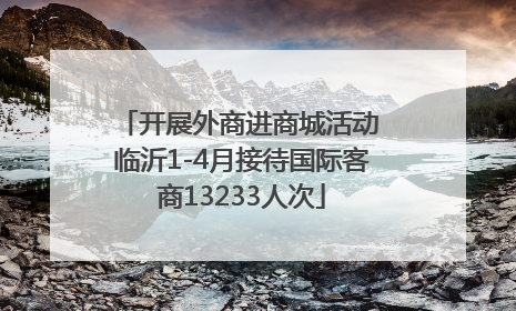 开展外商进商城活动 临沂1-4月接待国际客商13233人次