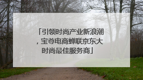 引领时尚产业新浪潮，宝尊电商蝉联京东大时尚最佳服务商