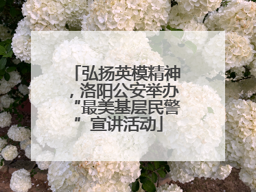 弘扬英模精神，洛阳公安举办“最美基层民警”宣讲活动