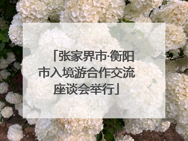 张家界市·衡阳市入境游合作交流座谈会举行