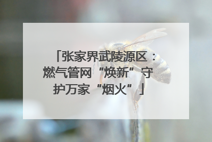 张家界武陵源区:燃气管网“焕新”守护万家“烟火”