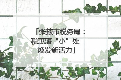 张掖市税务局：税惠落“小”处 焕发新活力