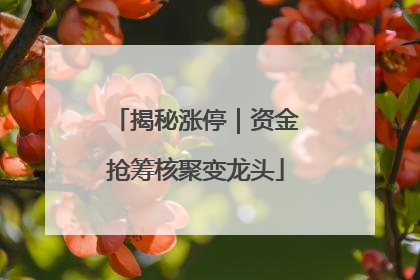 揭秘涨停｜资金抢筹核聚变龙头