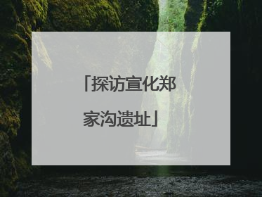 探访宣化郑家沟遗址