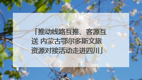 推动线路互推、客源互送 内蒙古鄂尔多斯文旅资源对接活动走进四川