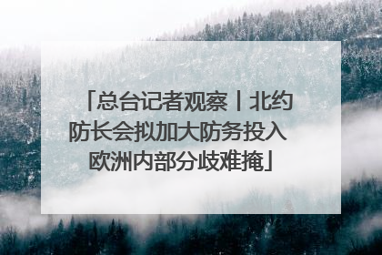 总台记者观察丨北约防长会拟加大防务投入 欧洲内部分歧难掩