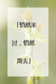 悄然来过，悄然离去