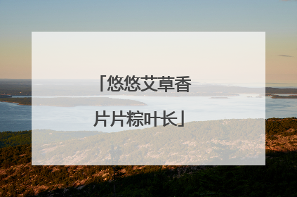 悠悠艾草香 片片粽叶长