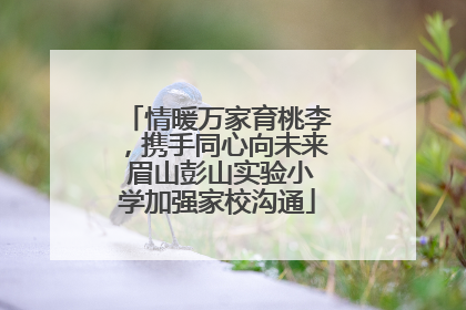 情暖万家育桃李，携手同心向未来 眉山彭山实验小学加强家校沟通