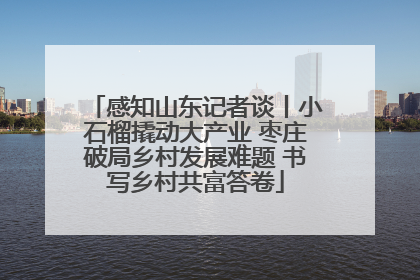 感知山东记者谈丨小石榴撬动大产业 枣庄破局乡村发展难题 书写乡村共富答卷