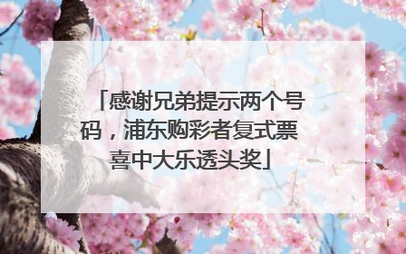 感谢兄弟提示两个号码，浦东购彩者复式票喜中大乐透头奖