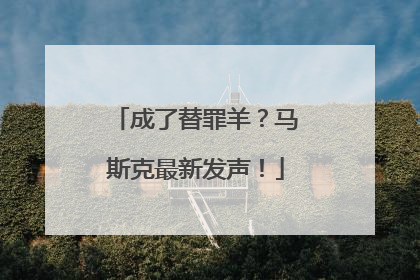 成了替罪羊？马斯克最新发声！