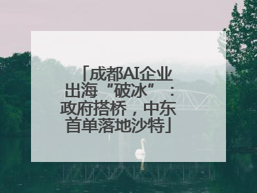 成都AI企业出海“破冰”：政府搭桥，中东首单落地沙特